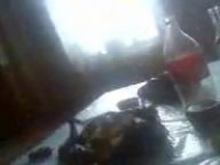 Узбечка сняла на телефон секс с братом узбеком